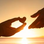 thumbnail of A Number of Charities Throughout the World Do Great Work and Benefit Many Causes